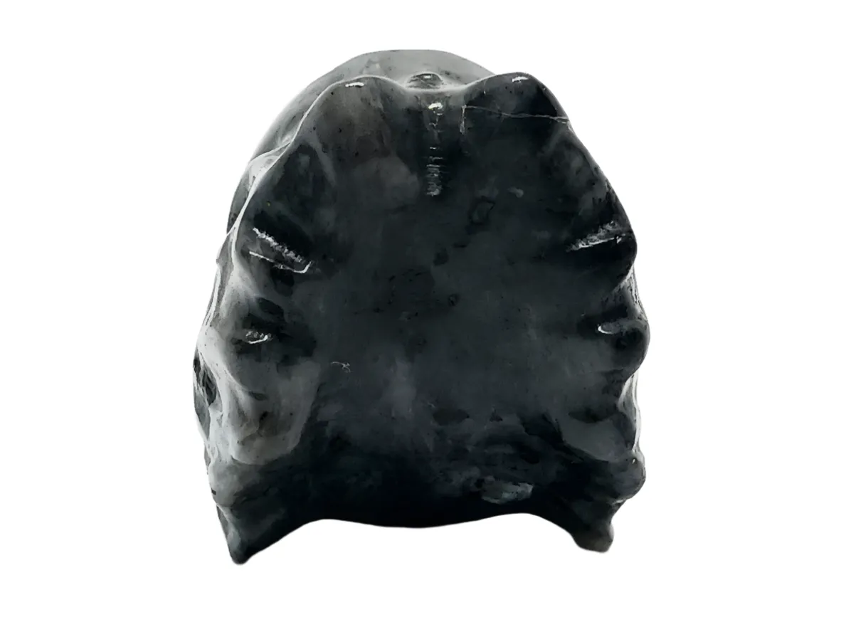 Larvikite Crystal Wolf Head Small Carving